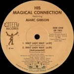 His Magical Connection - Wait Lady Wait