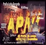 A.P.N.L. - All Profits No Losses Vol. 2 Street Cash Compilation