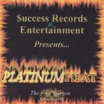 Success Records & Entertainment Presents - Platinum Heat: The Compilation