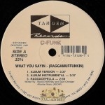 C-Funk - What You Sayin (Raggamuffunkin)