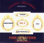 Flamin' Records Presents - Fire Starters The Compilation