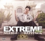 Extreme - Needle In The Haystack